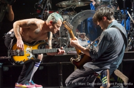 I’m with YOU, Red Hot Chili Peppers…