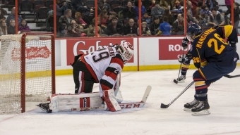 The Barrie Colts destroy the Ottawa 67s – December 8th, 2013